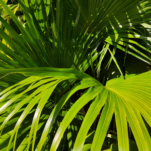 美丽姑娘高清免费观看23集预告
